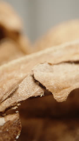 A mountain of empty walnut shells on a white background. Dolly slider extreme close-up. Vertical video.
