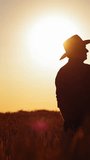 Farmer at sunset. Silhouette of a man in hat in wheat field against the setting sun. Agronomist looking on growth plants on agricultural land in the evening. Vertical video
