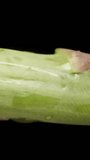 The camera moves along the stalk of asparagus, macro shot, isolated on a black background. Vertical video.