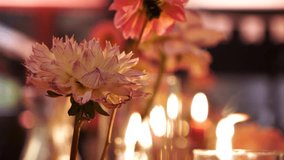 Pink flowers against the backdrop of burning candles as a table decoration element - Powered by Shutterstock - Get 15% off with code: PIKWIZARD15