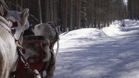 Reindeer pulling sleigh through snowy forest in Santa Claus Holiday Village, Rovaniemi, Finland, winter day - Powered by Shutterstock - Get 15% off with code: PIKWIZARD15