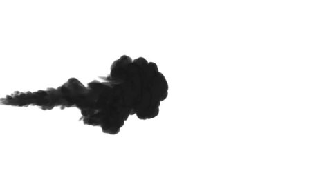 One ink flow, infusion black dye cloud or smoke, ink inject on white in slow motion. Black dye mixes in water. Inky background or smoke backdrop, for ink effects use luma matte like alpha mask