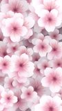 Vertical video - beautiful Springtime floral nature motion background animation with gently moving pink and white cherry blossom flowers in full bloom in the style of an oil painting.