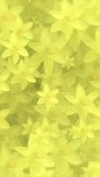 Vertical video - beautiful Springtime floral motion background animation in the style of an oil painting with gently moving yellow daffodil flowers in full bloom.