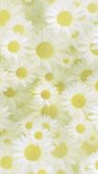 Vertical video - beautiful Springtime nature motion background animation in the style of an oil painting with gently moving daisy flowers in full bloom.