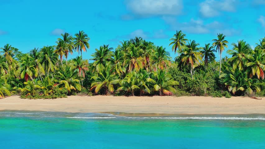 Mexican beach with palm trees hanging over the turquoise sea. Transparent waves on yellow sand. Paradise beach on a Caribbean island. Panoramic video of a beautiful seascape. Royalty-Free Stock Footage #3468327223