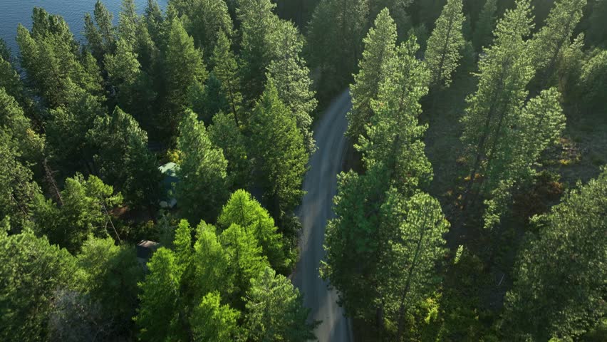 Overhead drone shot of a country backroad winding through the forest. Royalty-Free Stock Footage #3468523969