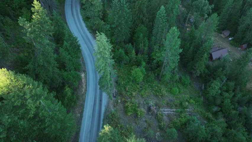Overhead drone shot of a backcountry road winding through the forest. Royalty-Free Stock Footage #3468527541