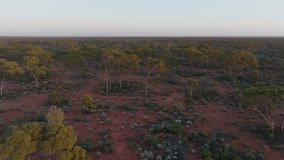 Panning clip showing desert and scrubland stretching out to horizon, in Western Australia