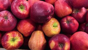 Red apples from the top in dolly shot  - Powered by Shutterstock - Get 15% off with code: PIKWIZARD15