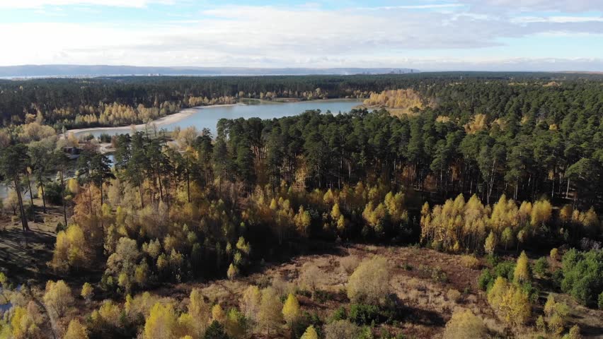 lake in the green forest
