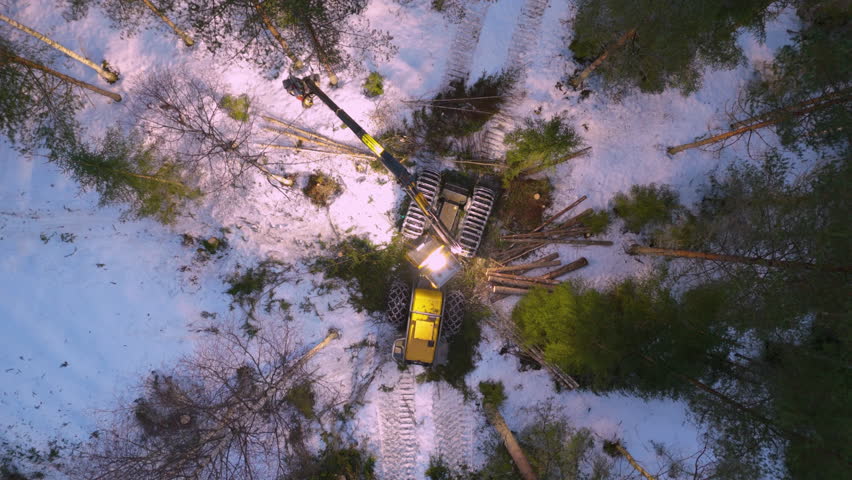 Overhead drone view of yellow harvester felling trees at night in snowy forest Royalty-Free Stock Footage #3468854675