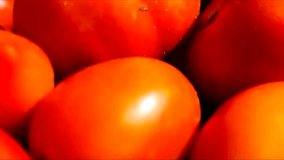 Indian Fresh A Grade Tomato Have Legally Been Vegetables, Seed Variety And Health Benefits Of Tomatoes, Red Tomato 4K Footage Clip Closeup View Royalty.