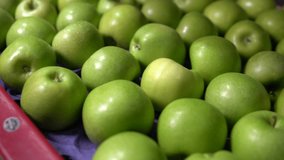 Apple The Flavor of Nature -15 - Powered by Shutterstock - Get 15% off with code: PIKWIZARD15