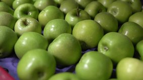 Apple The Flavor of Nature -16 - Powered by Shutterstock - Get 15% off with code: PIKWIZARD15