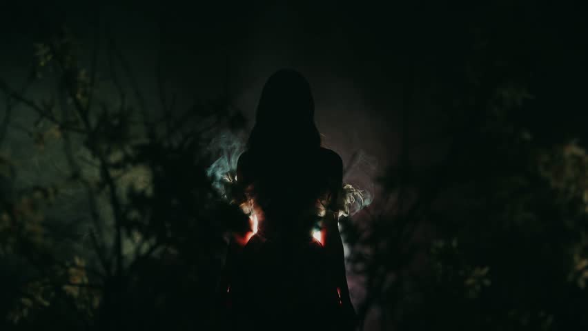 shadow dark silhouette fantasy woman goes to bright magical divine moon light ray in black night garden glow, fog tree branch flowers. Mystery sexy lady Gothic Girl princess. magic smoke mist art 4k