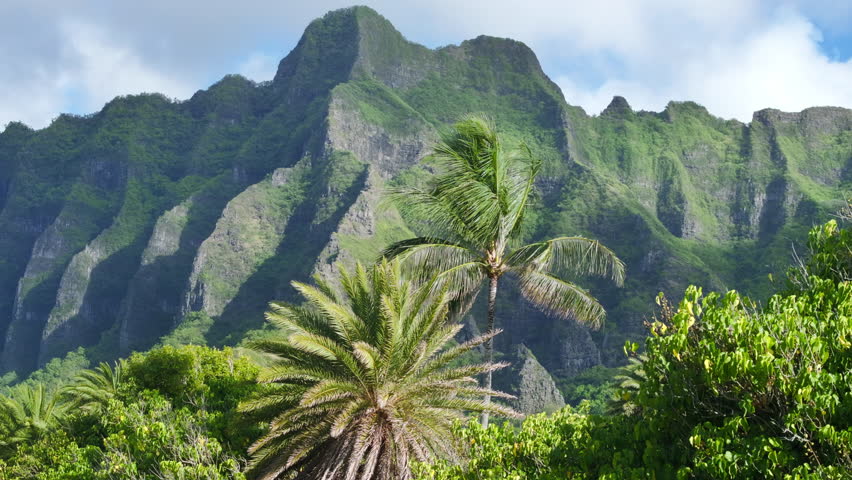 Epic nature landscape for exotic island tourism background. Green palms on background of volcanic summit on Hawaii island Oahu. USA tourism. Cinematic Green mountains peaks on paradise tropical island Royalty-Free Stock Footage #3469194127