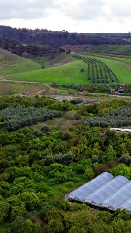 Drone view of mountain valley fields, orchards. Showcases agriculture, sustainable agriculture practices, agriculture biodiversity. Focuses on ecological agriculture