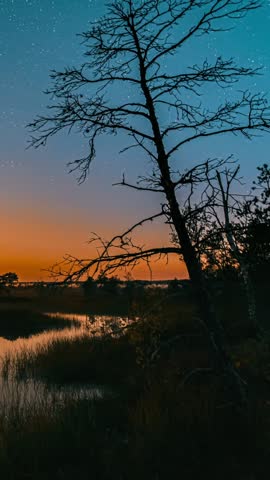 Yelnya Swamp Nature Landscape. Night Starry Sky Milky Way Galaxy With Glowing Stars And Moon. Famous Natural Landmark Time Lapse Time-Lapse Nature Marsh Hyperlapse. Night Sky Reflection In Water.