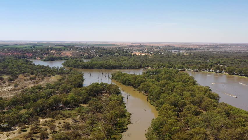 Swamps and woods in basin of Murrays river at Renmark town in South Australia – 4k.
