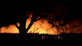 Forest Fires wildfire climate change threat environment in 4k