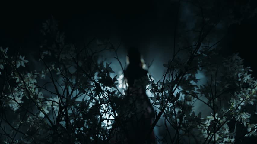 dark silhouette fantasy woman dancing in party ball black night forest fog smoke white flowers tree branch art blue magic moon light rays. Gothic happy Girl fairy princess sexy long dress slow motion.