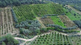 Drone video of fields, orchards in Turkey. Showcases agriculture, emphasizes agriculture importance, agriculture for local food security. Supports community sustainability
