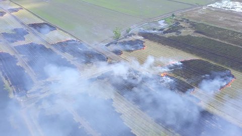 Aerial view Burn rice fields cornfield after harvest burning biomass in Ayutthaya province Thailand