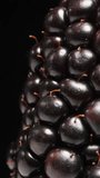 Vertical video. Water streams down the blackberry as it rotates slowly on a black background. Macro