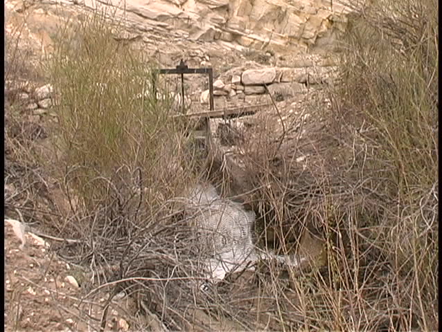 Water flows through an irrigation ditch and down a spillway at a high rate of speed