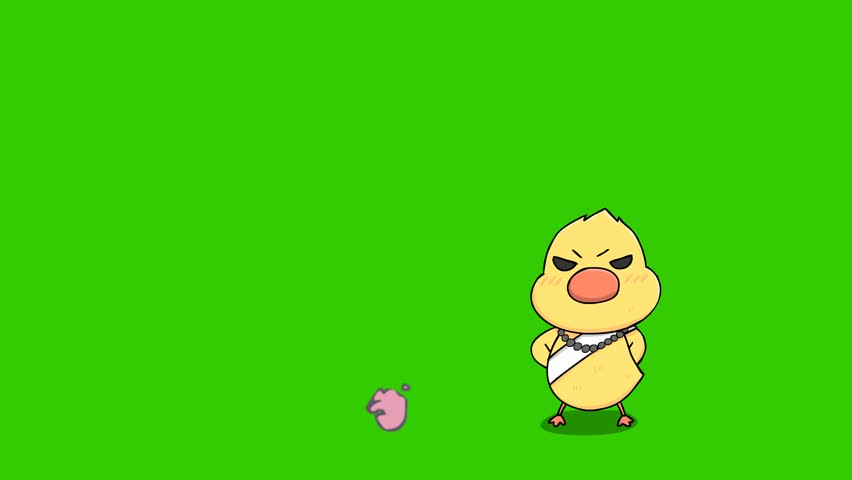 Buffaloes running into each other animation on green screen	
