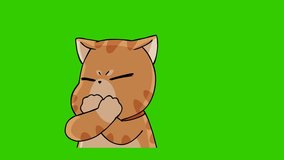 funny cat animation on green screen, emotion character 4k video