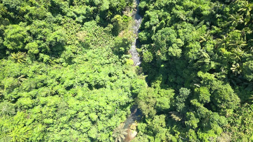 Aerial View Landscape with Green Forest Trees and Small Mountain River. Drone Camera Travels Above Summer Nature of Beautiful Malaysia. Stunning Ecosystem of Wonderful Amazon Area Outside on Indonesia