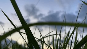 time lapse footage of grass with cloud movement in the background