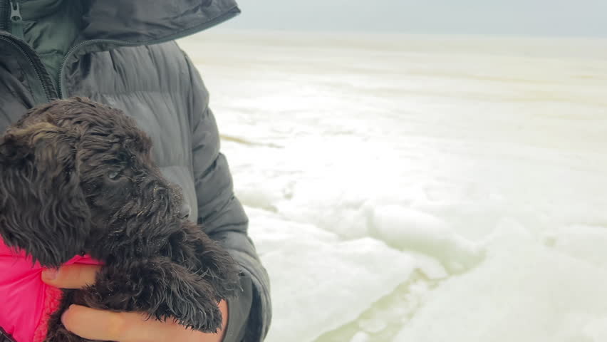 Human holding cute quiet toy poodle dog on winter seaside under rain. Spring walk with maltipoo puppy. Male owner of poodle dog. film grain pixel texture. soft focus. blur. live camera. 