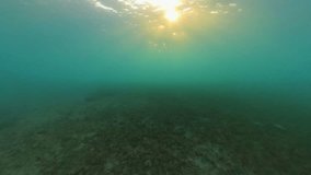 4k video of early morning sunlight underwater at Blue Heron Bridge in Riviera Beach, Florida, USA
