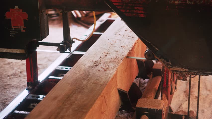 Portable Saw Mill Timber Cutting Saw Machine at Work
