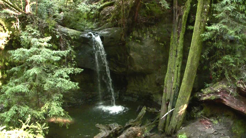 Waterfall in Big Basin State Park 5
