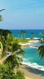 Beautiful landscape with sea waves on tropical beach and coconut palms. Vertical video