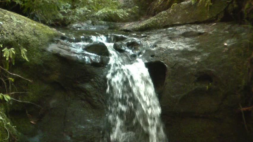 Waterfall in Big Basin State Park 7