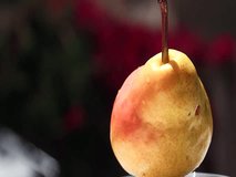 video of pear turning. Concept of food and fruits.