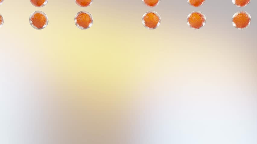 Fat cells, adipocyte and lipocyte, cholesterol in a cells, White fat cells contain a large lipid droplet, 
fat in human body, Obesity concept, dermis and hypodermis, nucleus, 3d render