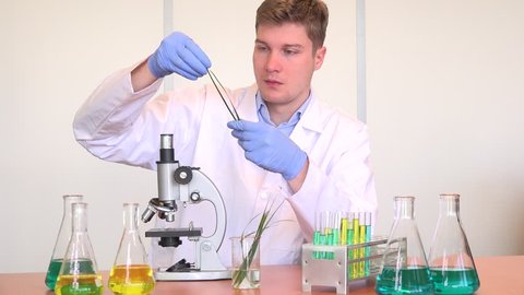 Pleased happy confident student science researcher checking gmo modified plants 