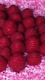 Close-up of fresh juicy raspberries and little, raspberry flavoured candy pieces rotating on a plate. Healthy organic red fruits versus unhealthy sweets. Cake topping, vegetarian or vegan diet concept