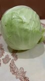 Cabbage flower special video in asia