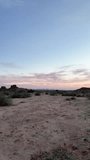 Video of a colorful sunset over the veld in southern Namibia with a pink play of colors in the sky in summer
