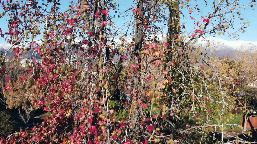 A Drone View Over a Residential Area in Santiago de Chile, Capital of Chile. 4K Resolution.