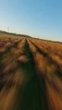drone video of agriculture field