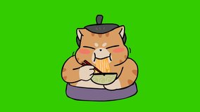Sumo cat animation on green screen, emotion character 4k video