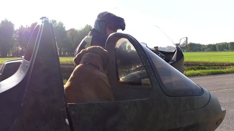 mastiff dog rides in motorcycle sidecar looks at you and drives away 4k